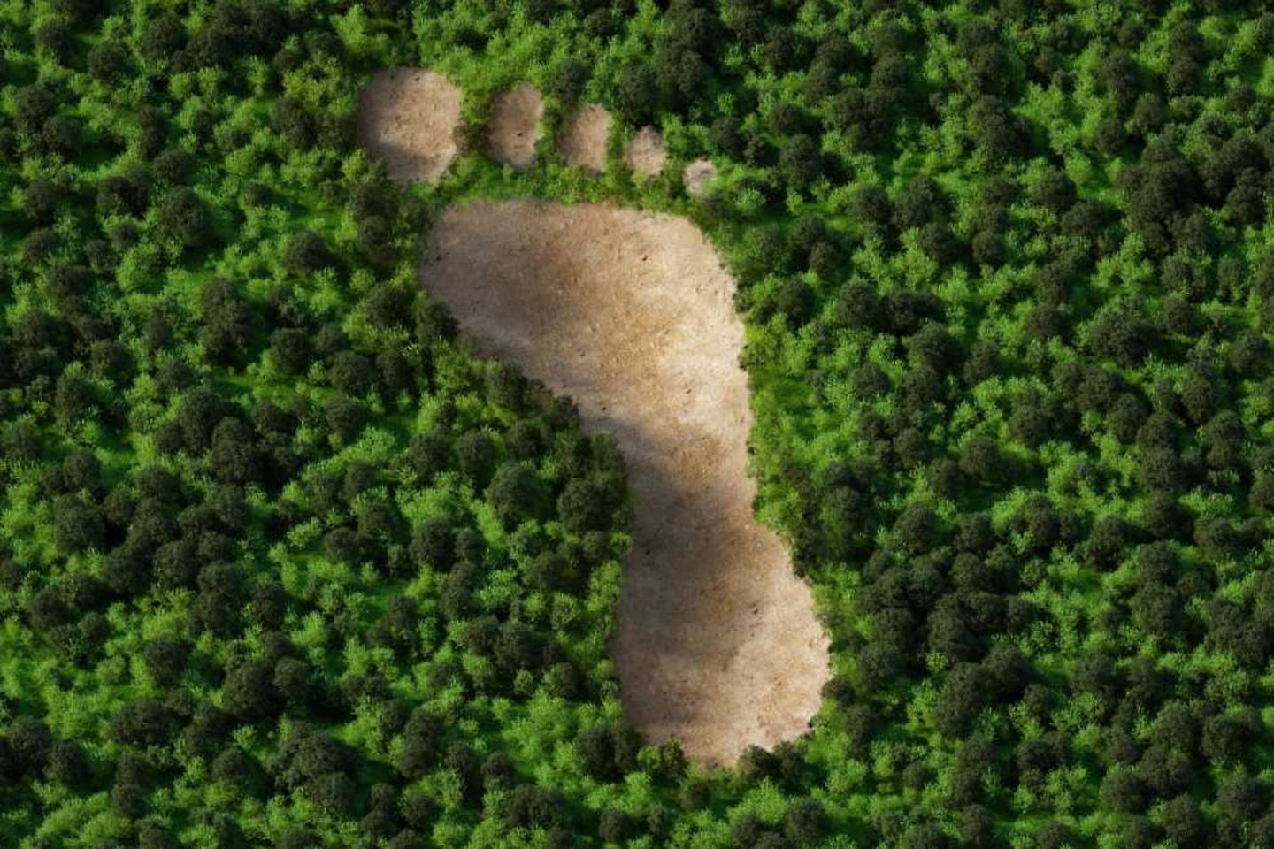 Een bos met een kale plek in de vorm van een voetafdruk