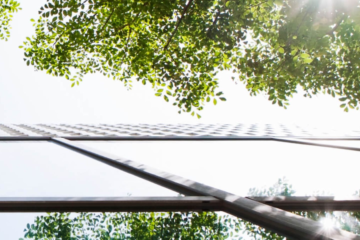 Frog perspective of a house with trees reflected in the glass facade