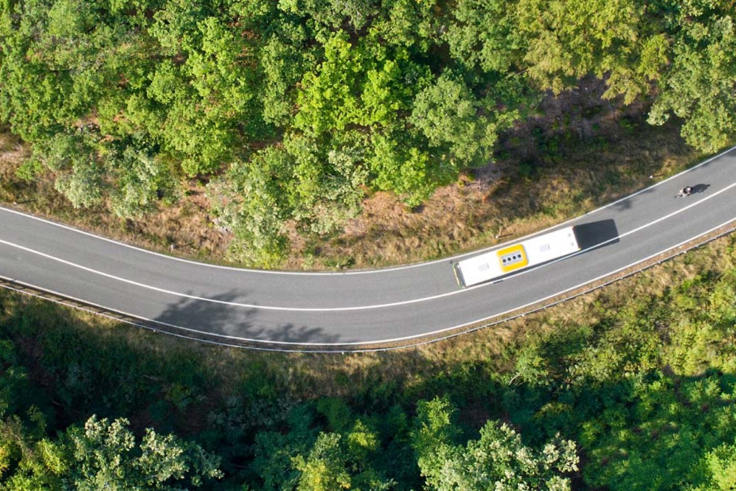 Aerial view of a road with a bus on it passing through the forest
