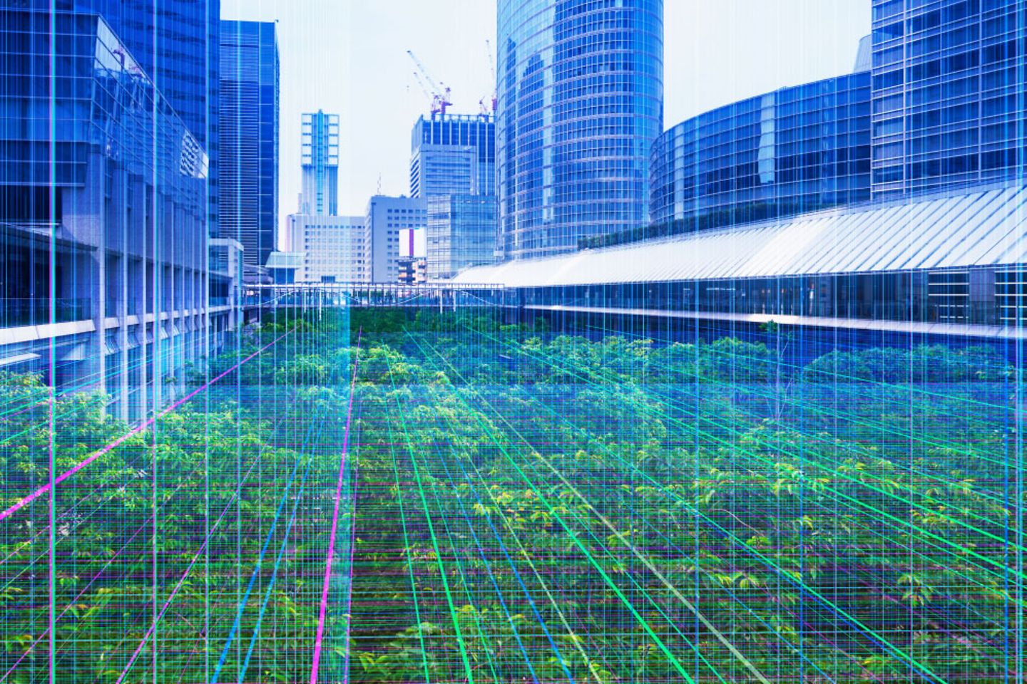 Blue picture of a town with a park, through a net divided by colorful lines