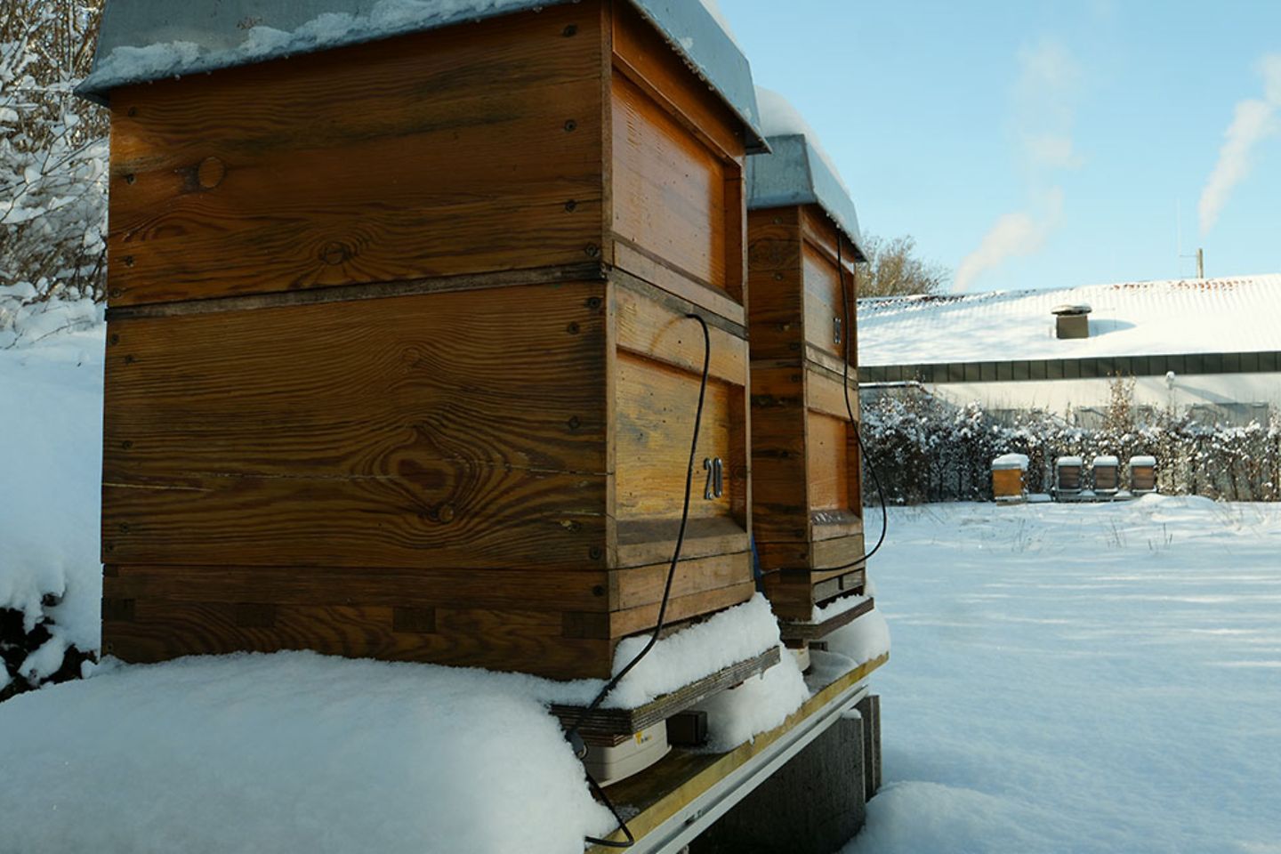 Bijenkast in de sneeuw