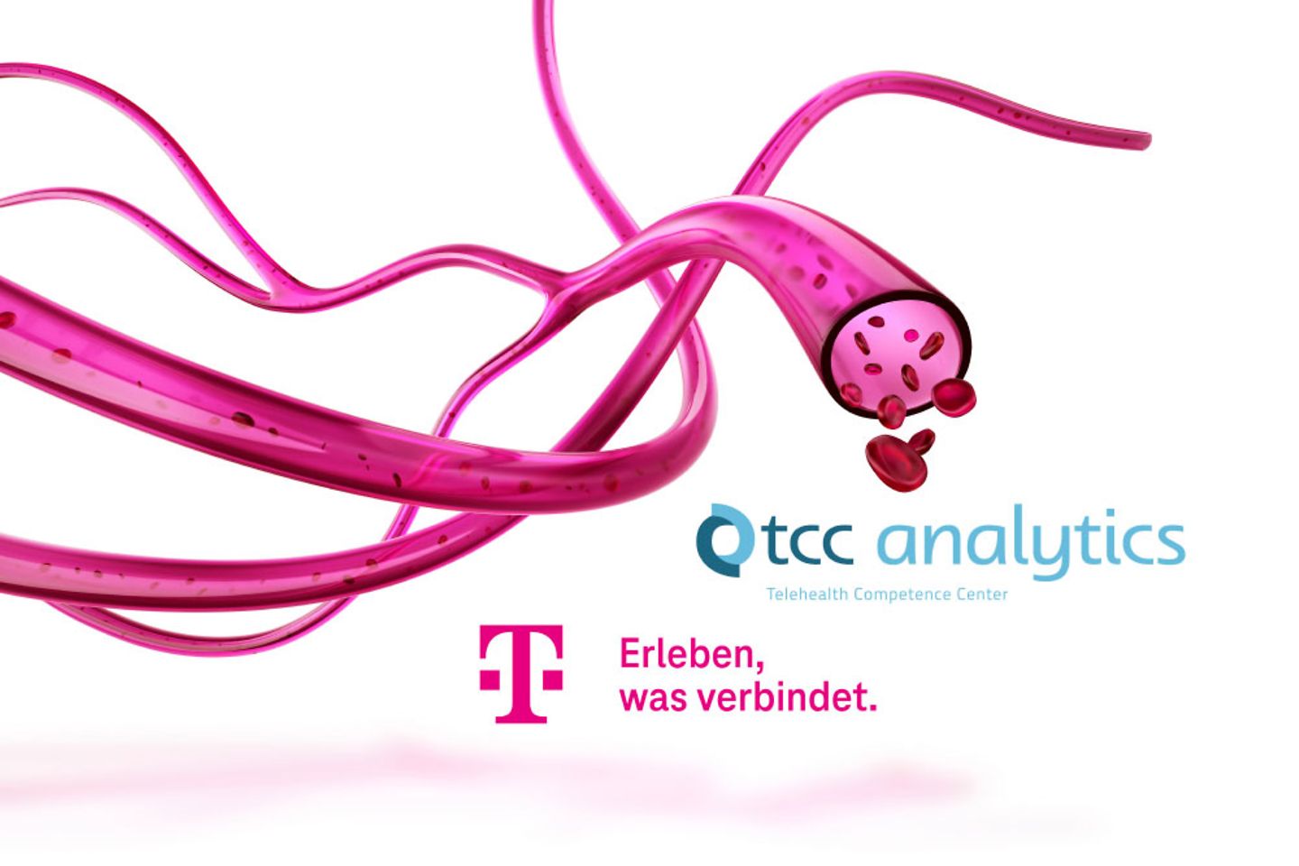 Telekom Healthcare Visual Blutbahnen