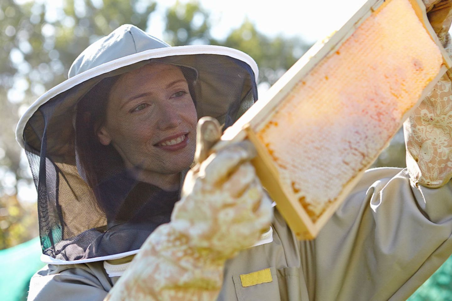 Female beekeeper holding up honeycomb tray