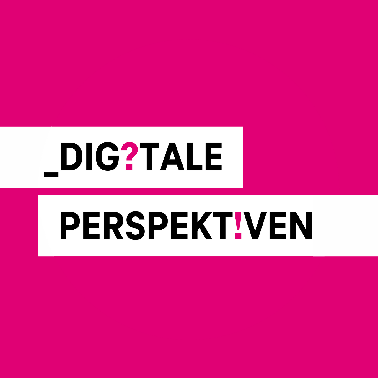 Digitale Perspektiven