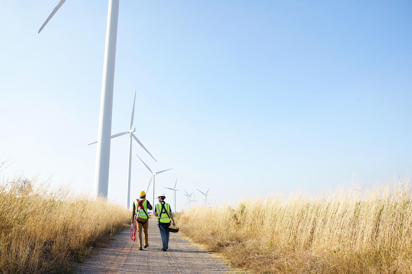 Zwei Arbeiter nähern sich Windkraftanlagen auf einem Weg durch Weizenfelder.
