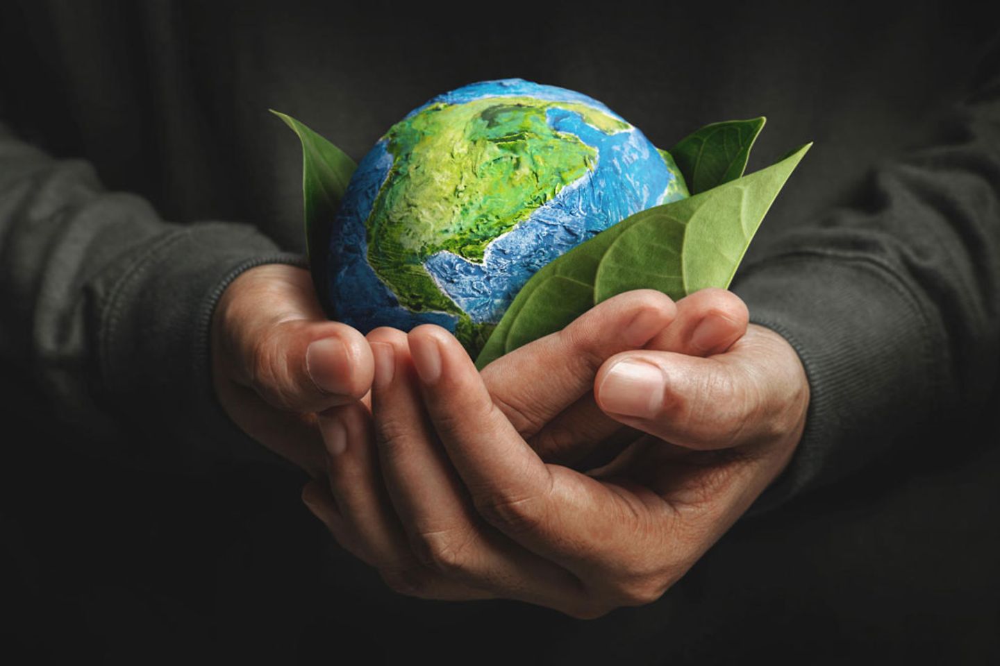 Hands holding a planet earth in a nest of green leaves