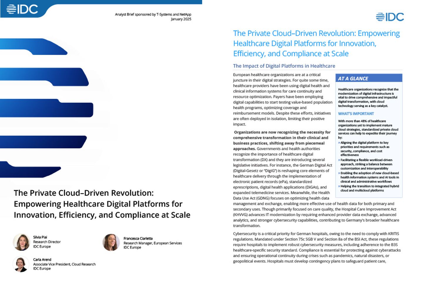 Cover und die nächste Seite des IDC-Berichts als Screenshot: Die Revolution auf Basis der Private Cloud 