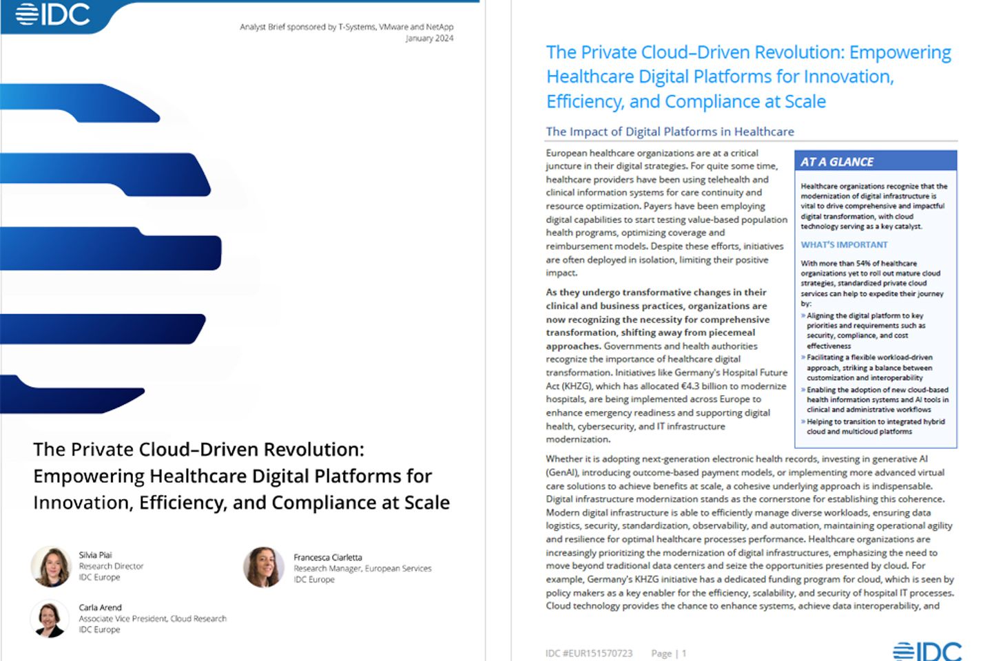 Cover und die nächste Seite des IDC-Berichts als Screenshot: Die Revolution auf Basis der Private Cloud 