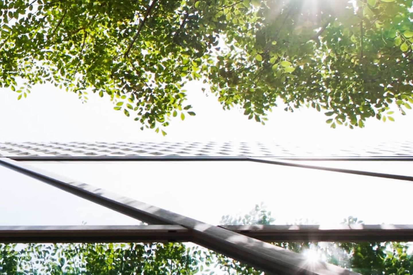 Contre-plongée d’une maison avec des arbres qui se reflètent dans la façade en verre