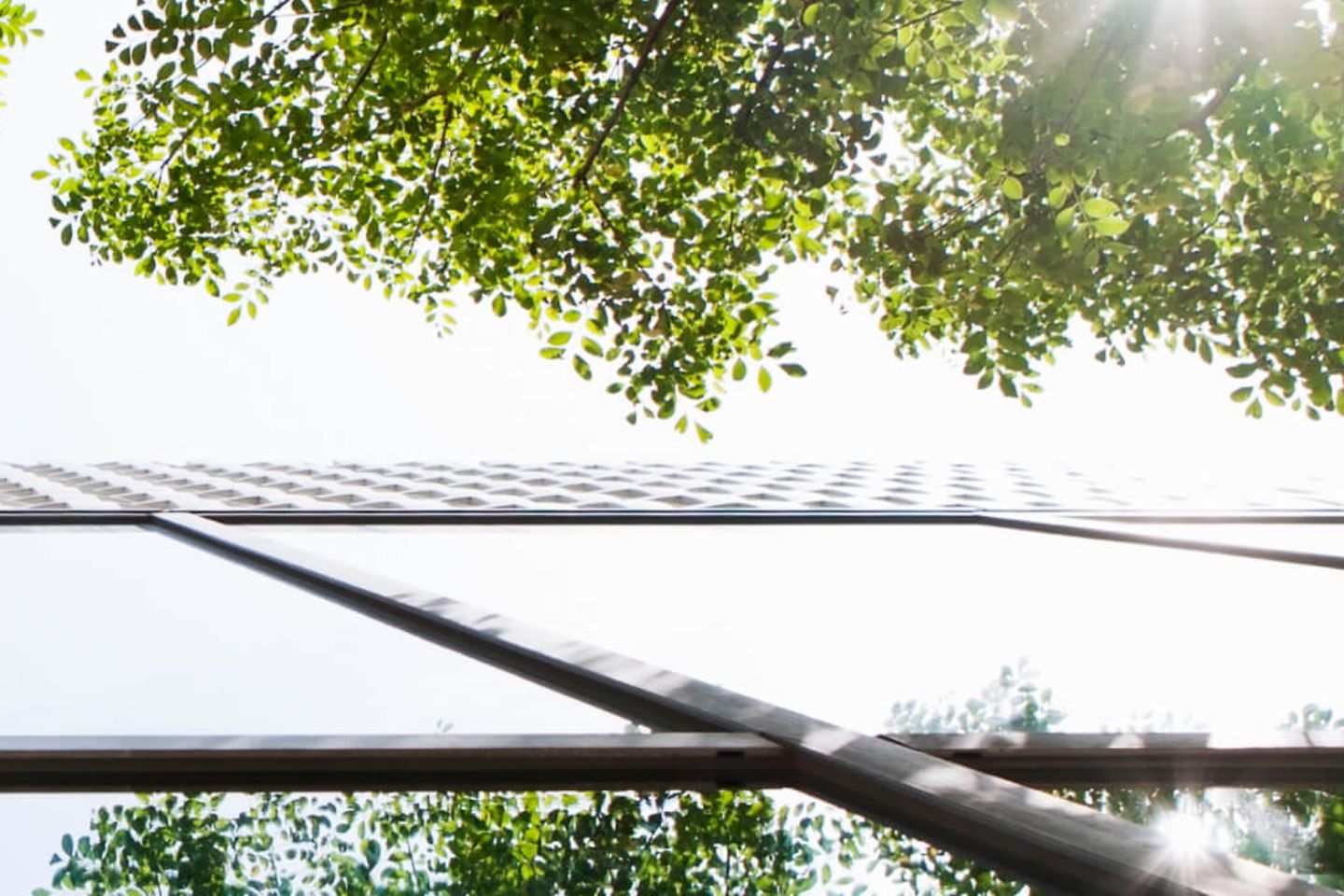 Frog perspective of a house with trees reflected in the glass facade