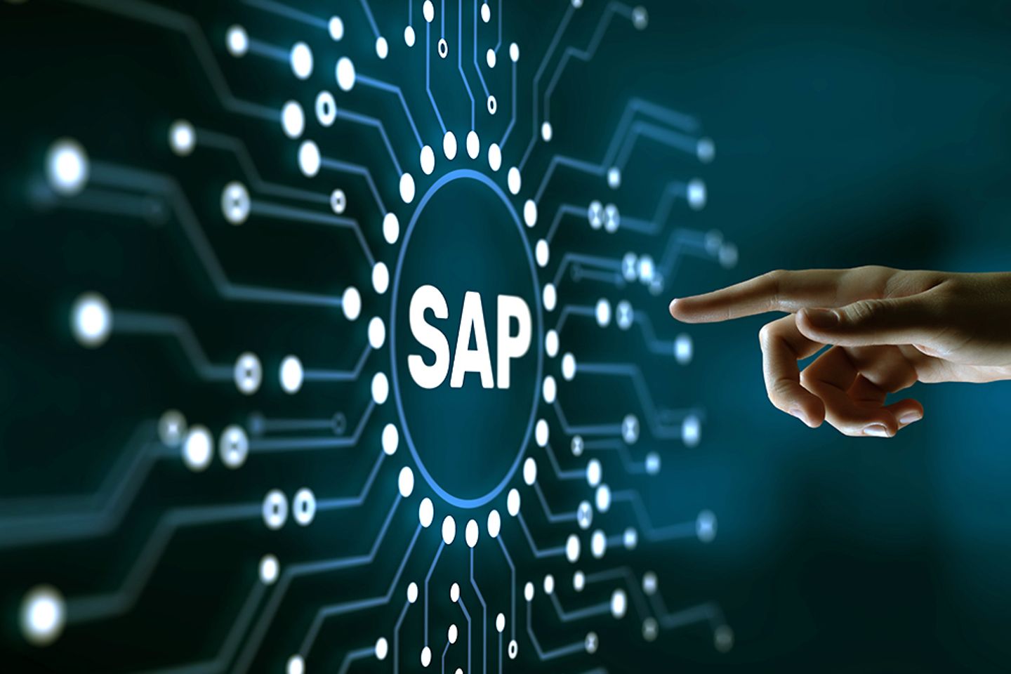 SAP-Service-Provider