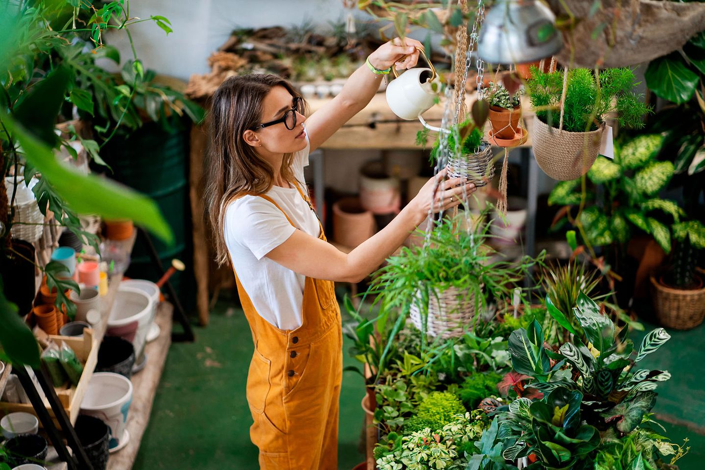 Junge Frau in einem Raum mit vielen Pflanzen giesst eine Pflanze im Hängetopf