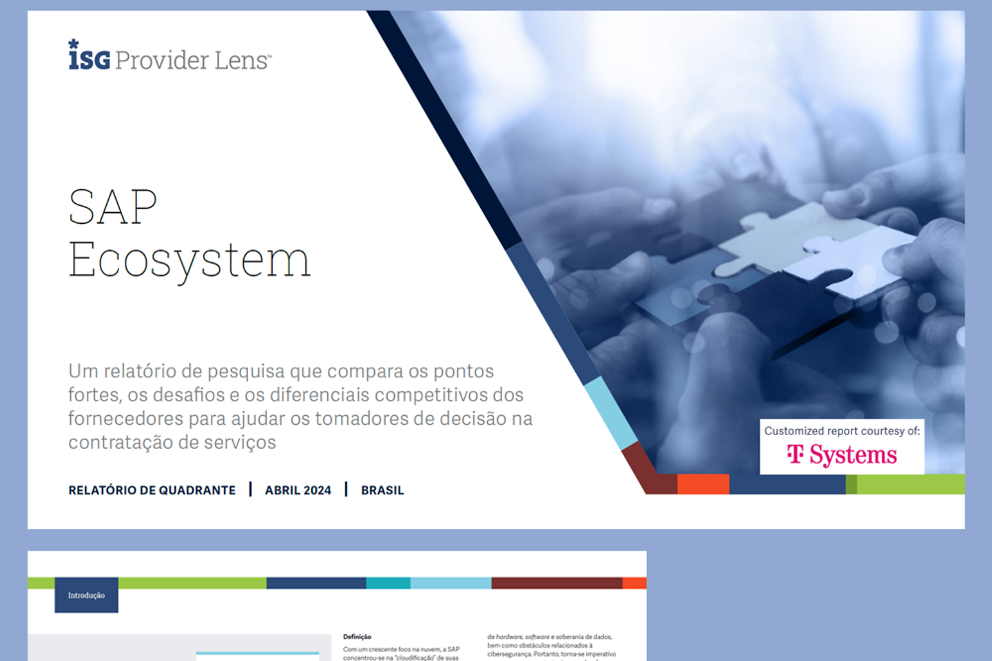 Página de rosto e três páginas subsequentes do white paper como captura de tela: SAP Ecosystem