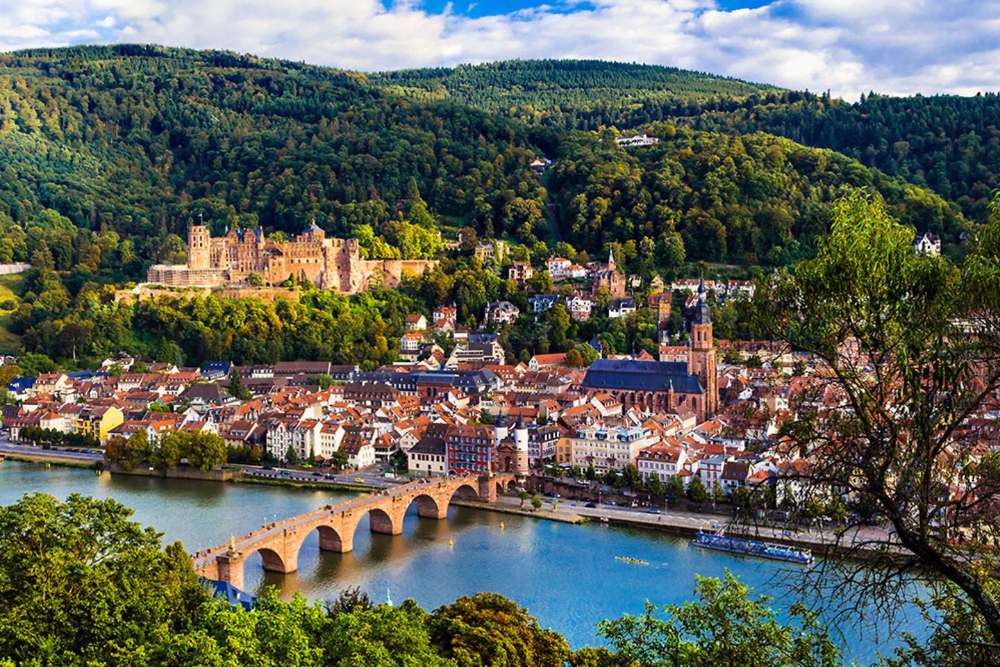 Skyline der Stadt Heidelberg