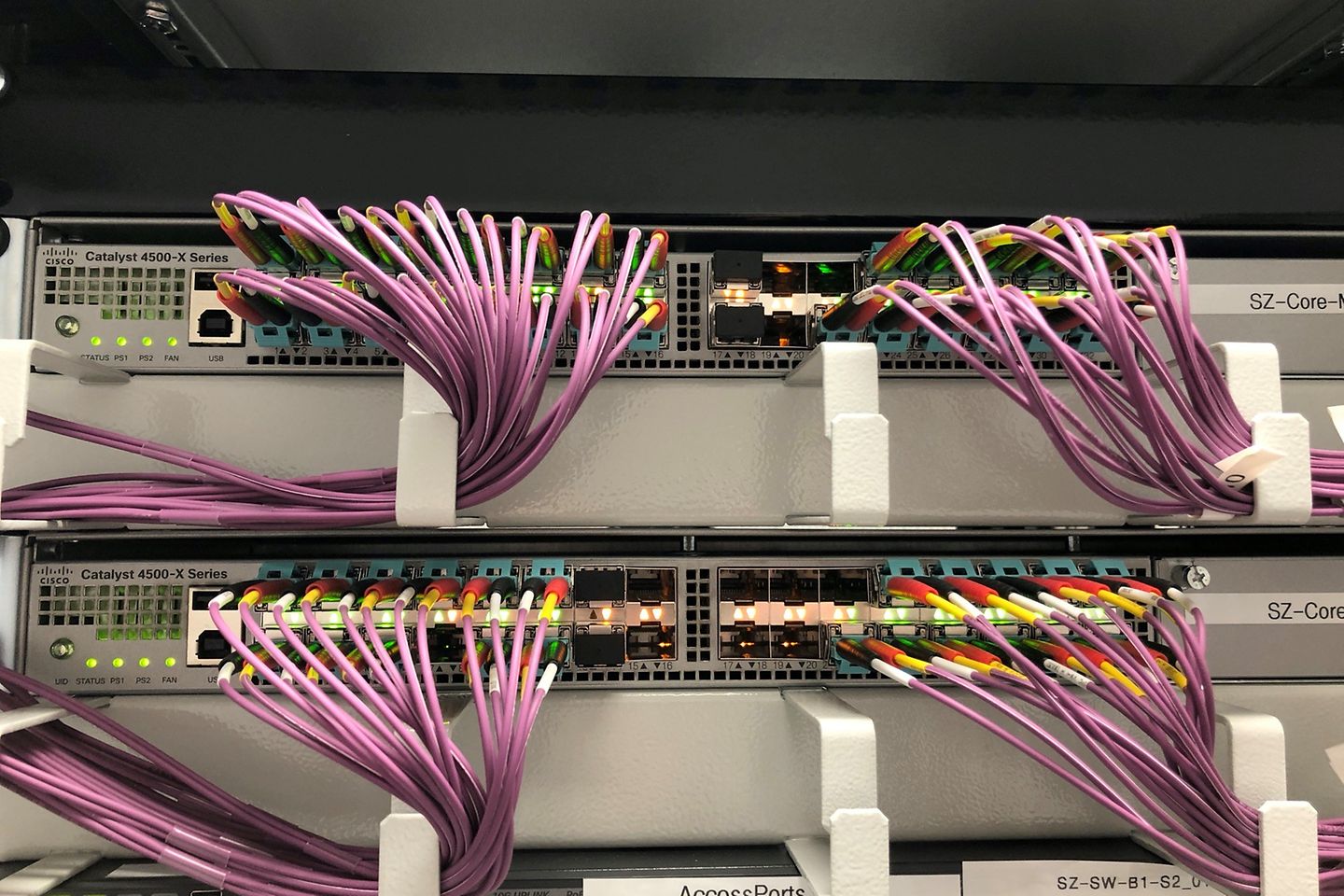 Server with many pink cables.